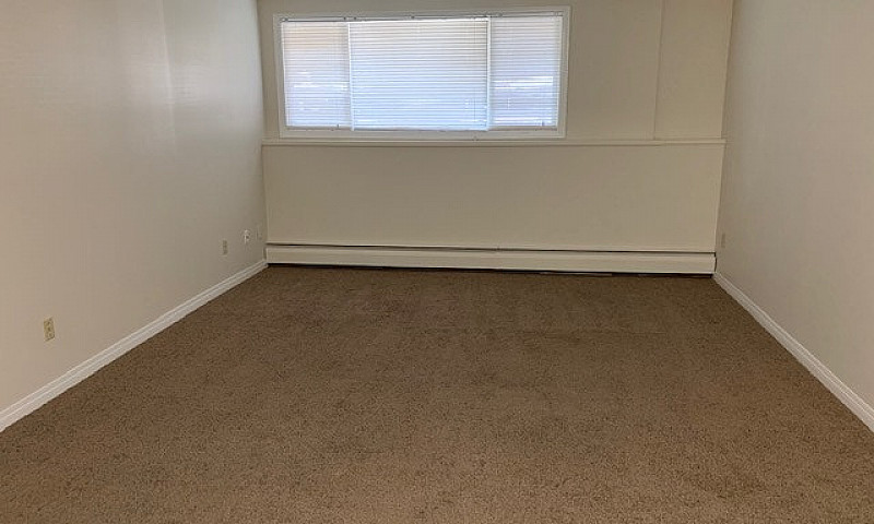 One Bedroom Apartmen...