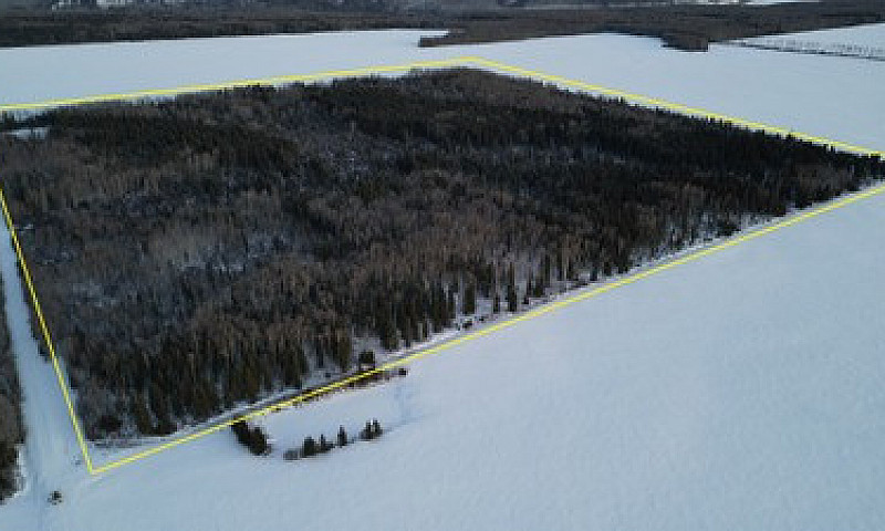 Alberta Public Land ...