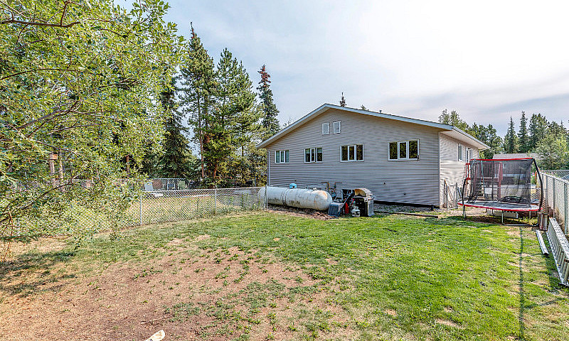Open House | Sun | J...