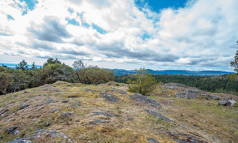 Elevated Acreage Wit...