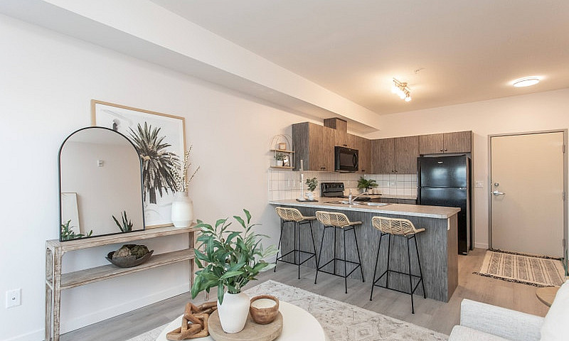 1 Bedroom Apartment ...