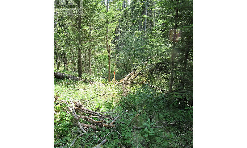 Lot 172 Womack Road ...