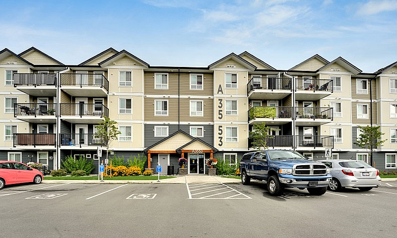 Pet-Friendly One Bed...