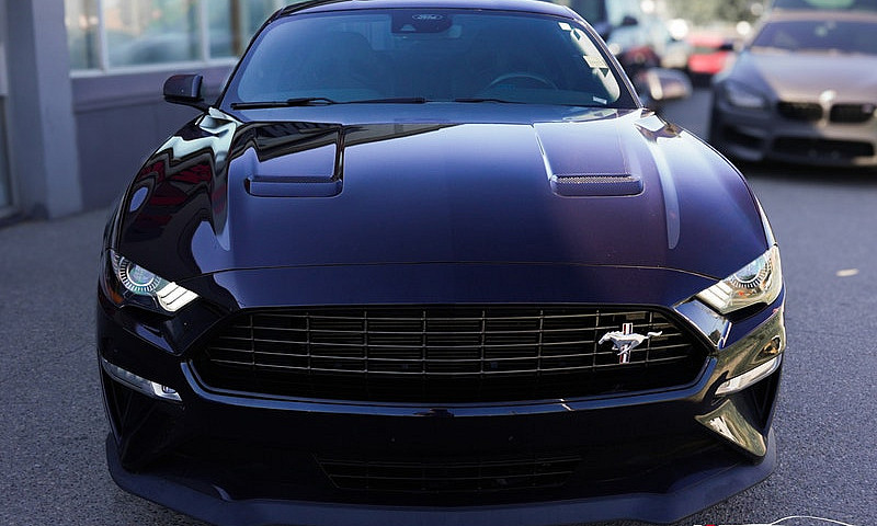 2021 Ford Mustang Ec...