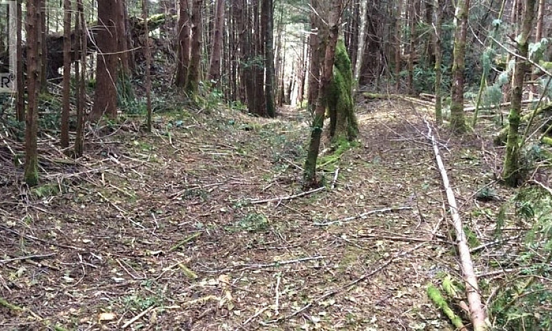 Lot 2 Nootka Island ...