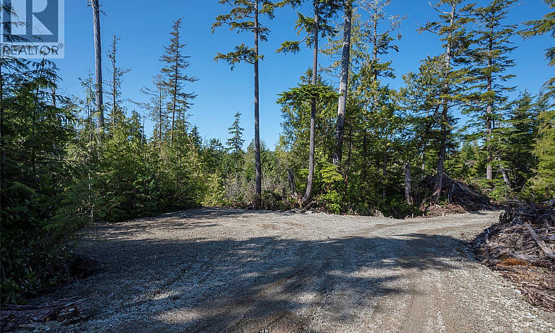 Lot 9 South Bamfield...