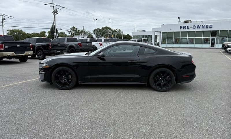 2019 Ford Mustang Ec...