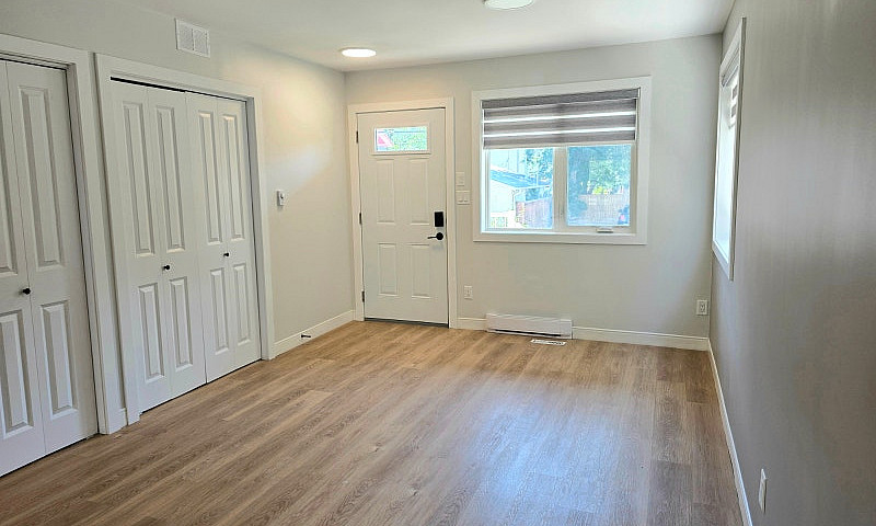 Main + Lower Floor D...