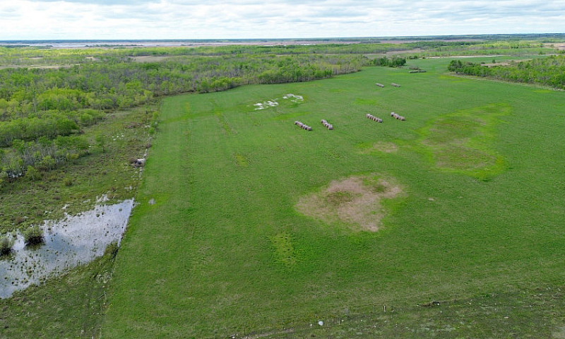 Land For Sale Close ...