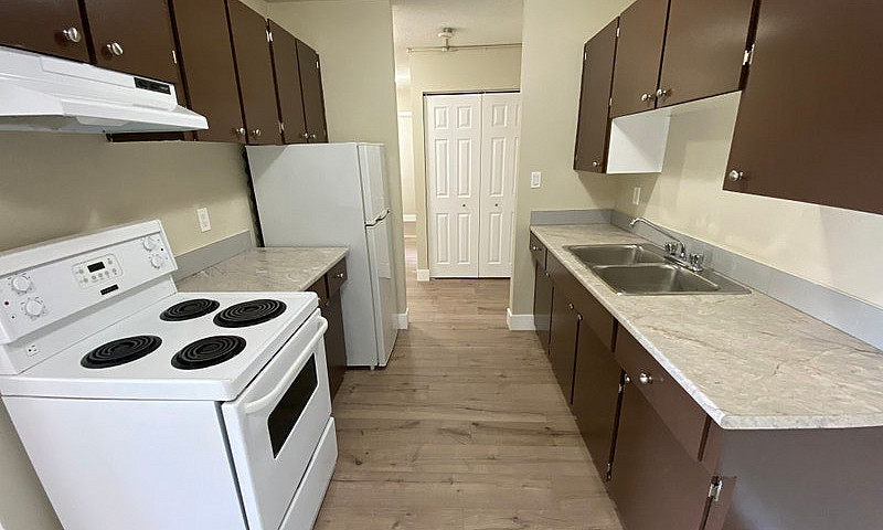2 Bed, 1 Bath Starti...