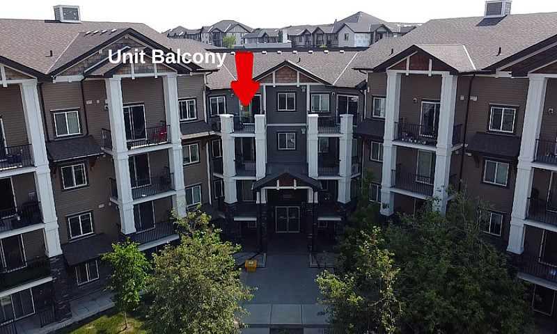 For Sale! 175 Panate...