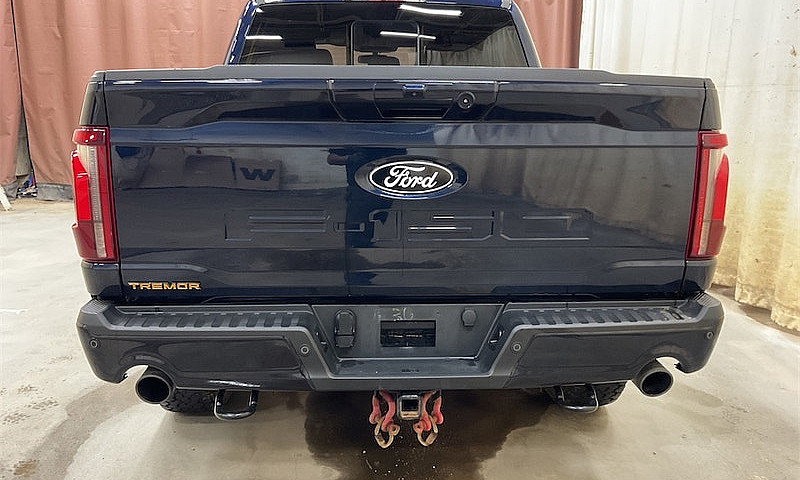 2024 Ford F-150 Trem...