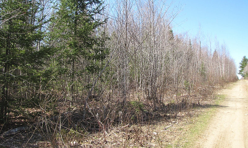 New Price, 11 Acres ...