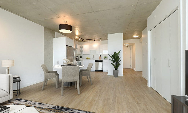 Studio + Den | Pando...