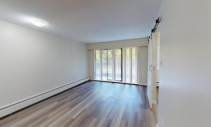 Apartment For Rent A...