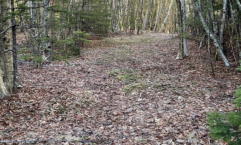 13.95 Acre Riverfron...
