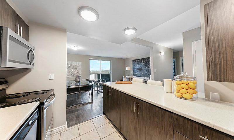 1 Bedroom Apartment ...
