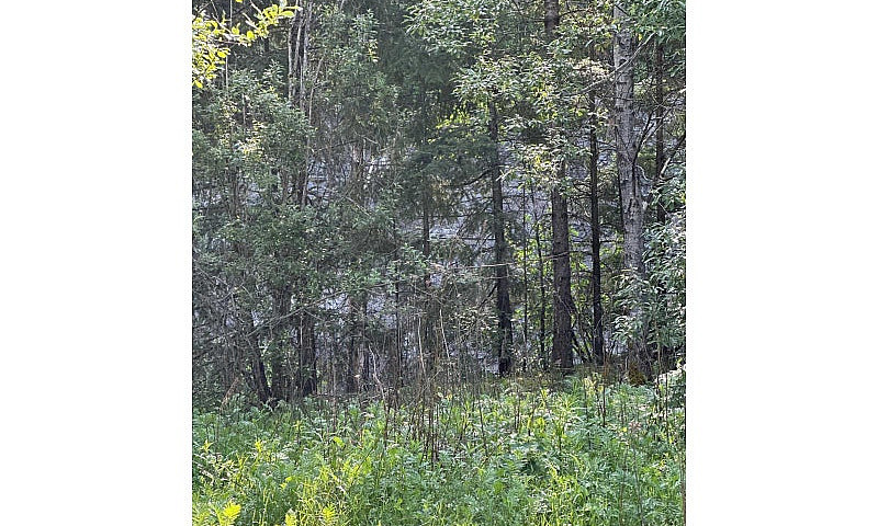 21647 Thacker Mtn Ro...