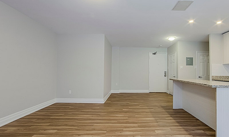 1 Bedroom Apartment ...