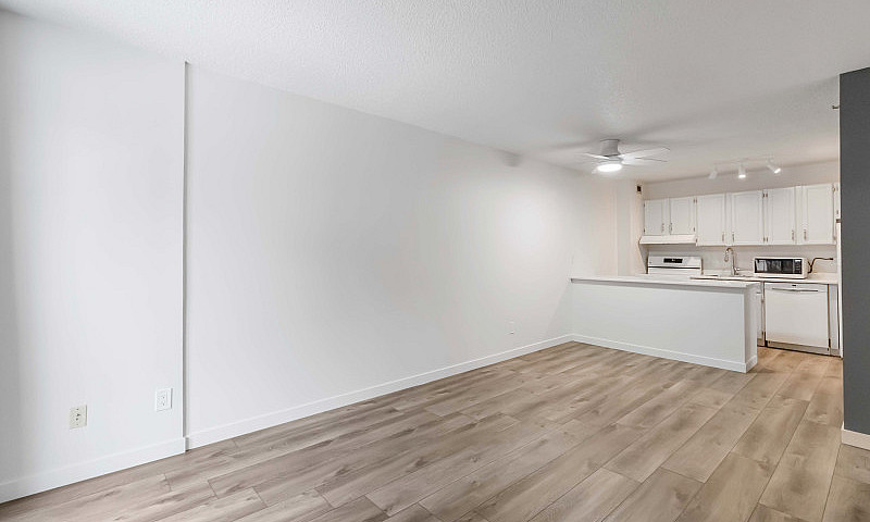 1 Bedroom Suite In W...