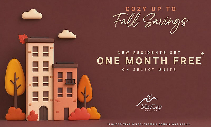 3 Bedroom Apartment ...