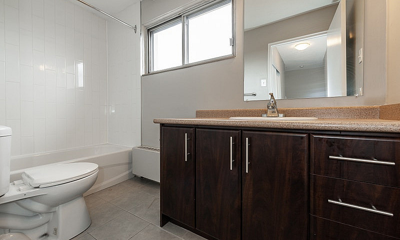 Renovated One Bedroo...