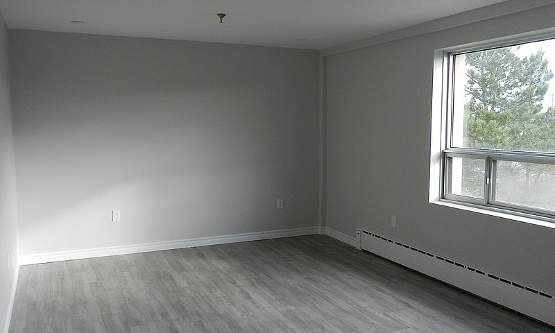 Newly Renovated Apar...