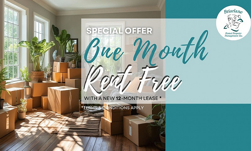 2 Bedroom Basement A...
