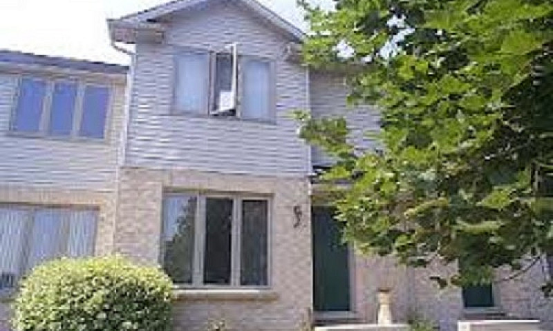 2 Room Basement Apar...