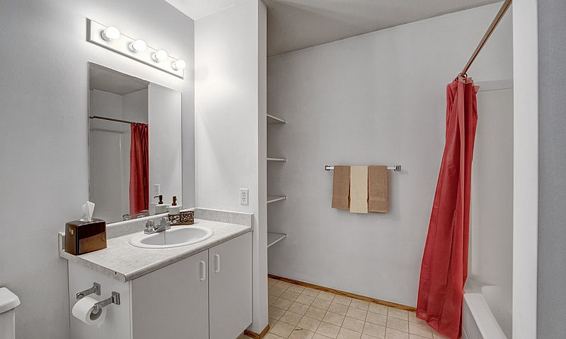 3 Bed X 1.5 Bath Apa...