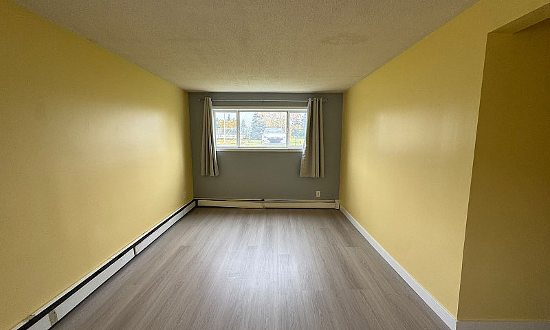 2Bed, 1Bath Apartmen...