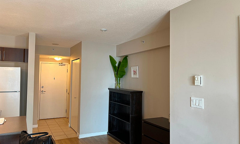 Fully Furnished 1 Be...
