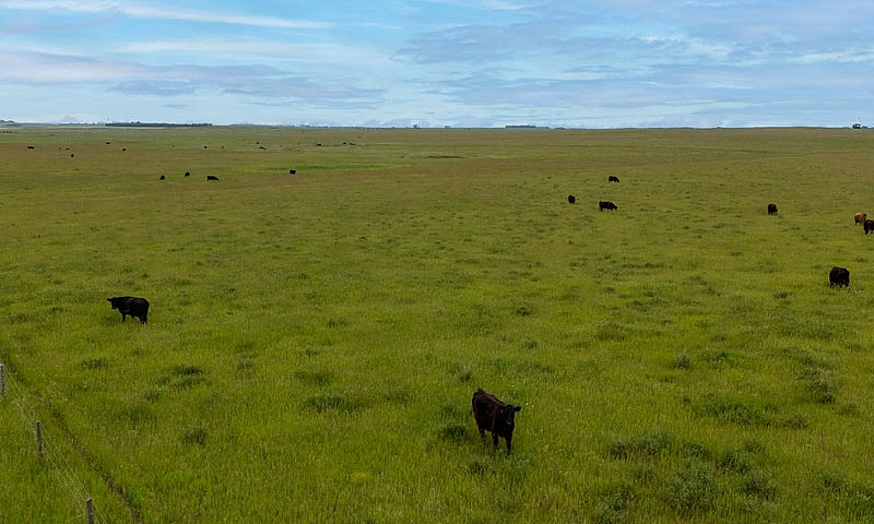 Premier Farmland Off...