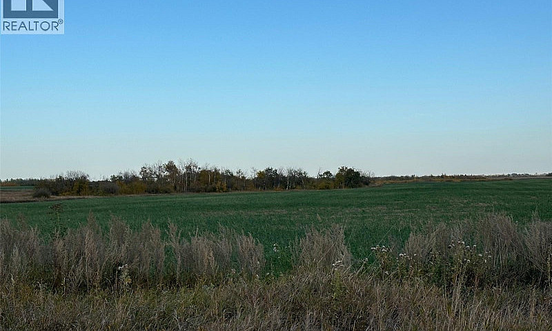 Lybeck 80 Acres Corm...