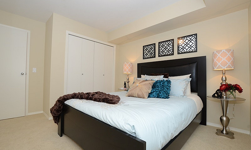 Pet-Friendly Three B...