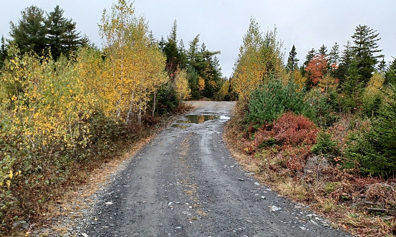 11 Acres Of Land On ...