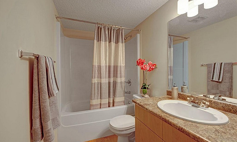 1 Bed X 1 Bath Apart...