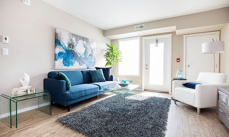 Pet-Friendly Three B...