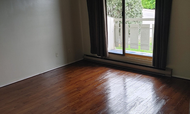 1 Bedroom Downtown U...