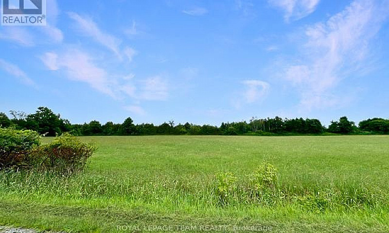 7205 Malakoff Road O...