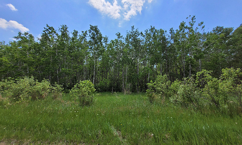 Treed 5 Acre Lot!...