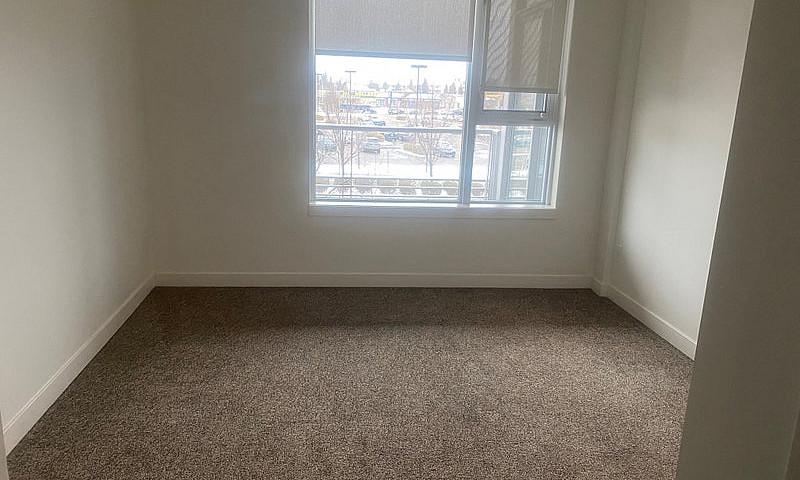 1 Bedroom Luxury Con...