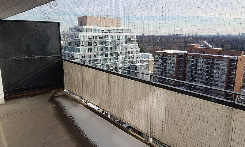 45 Balliol St. -   1...