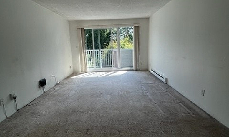 Bright & Spacious 1-...