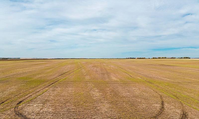 594.29 Acres | Rm Of...