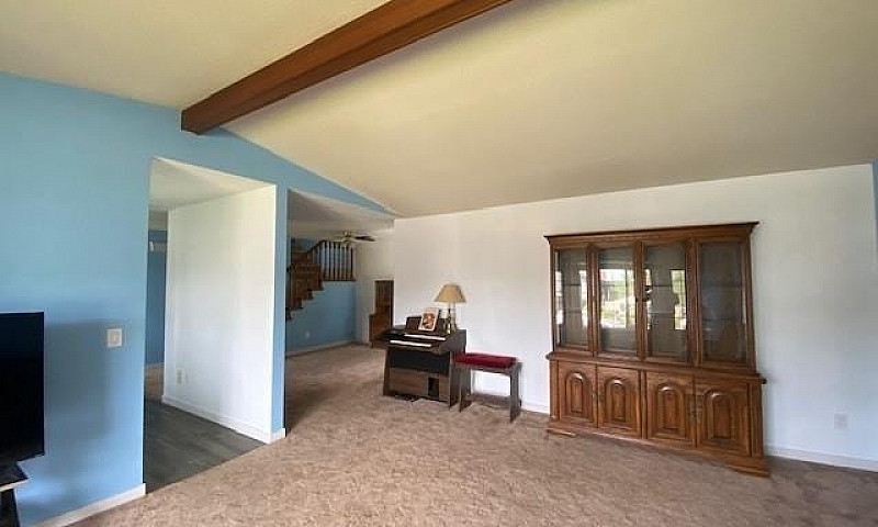 6442 Swanson Street,...