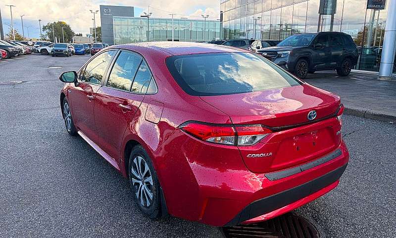 2020 Toyota Corolla ...