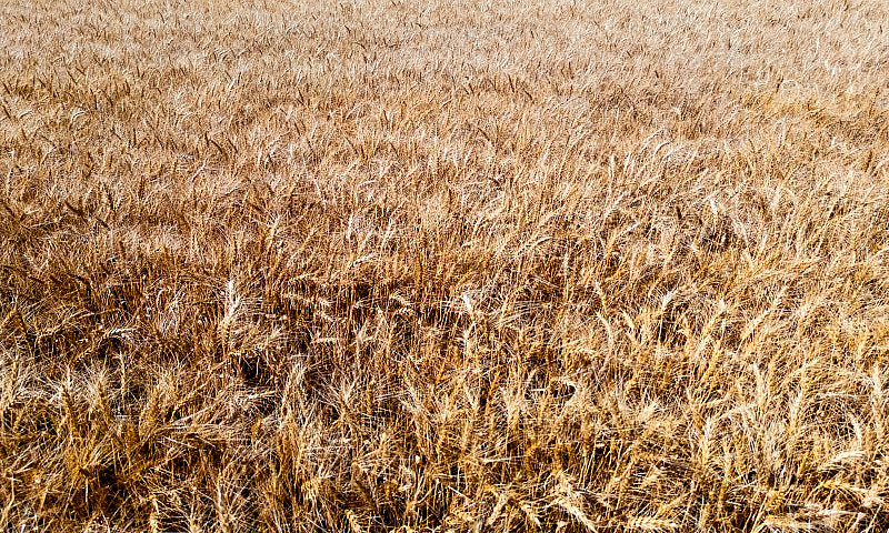 Farmland For Sale By...