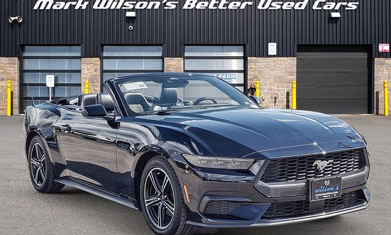 2025 Ford Mustang Co...