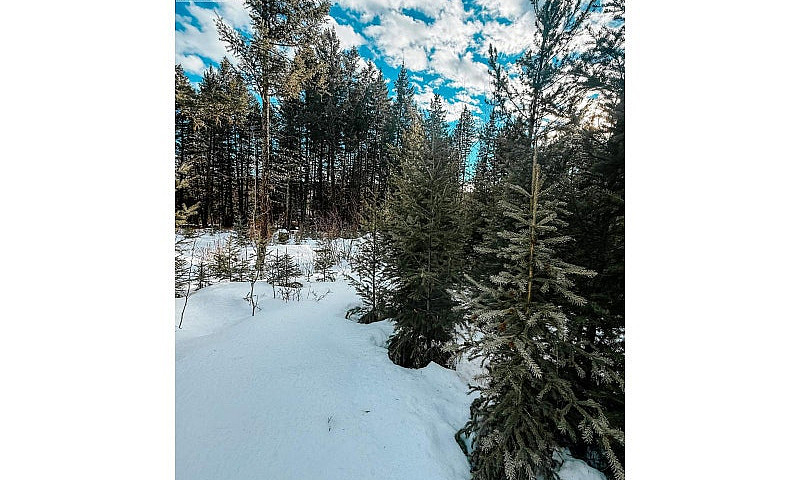 5724 Timothy Lake Ro...